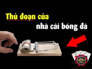 Mẹo tránh bẫy nhà cái giúp tân thủ giành chiến thắng